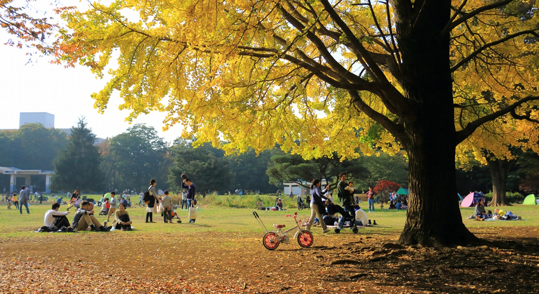 光が丘公園