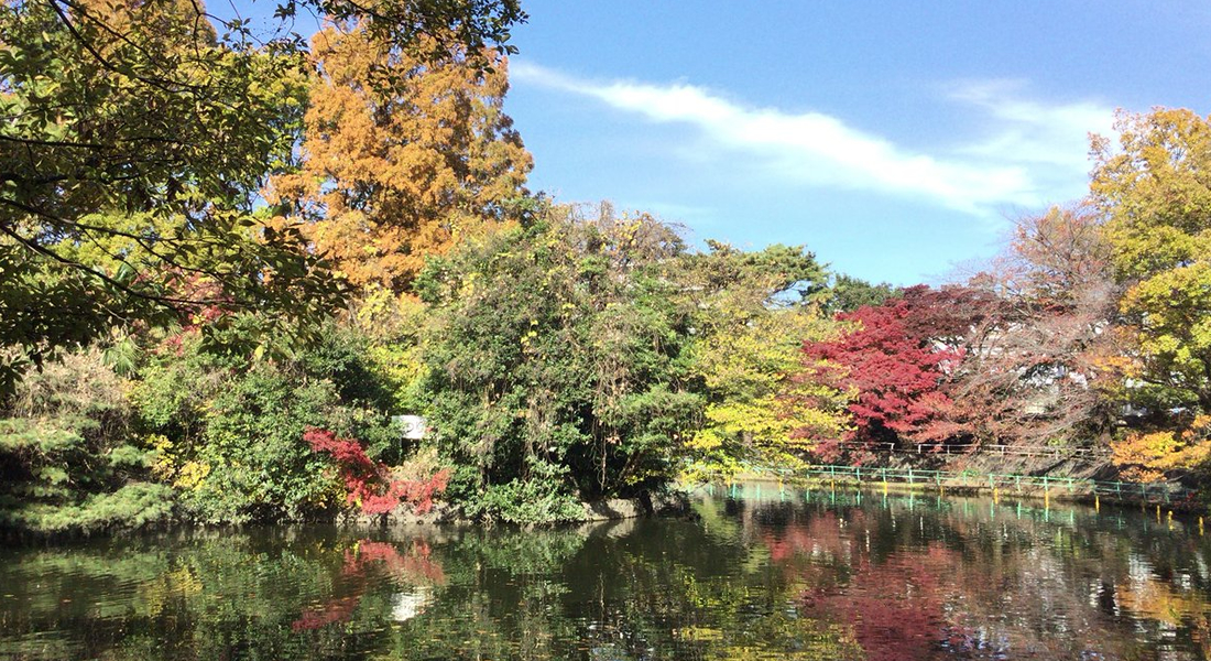 武蔵関公園