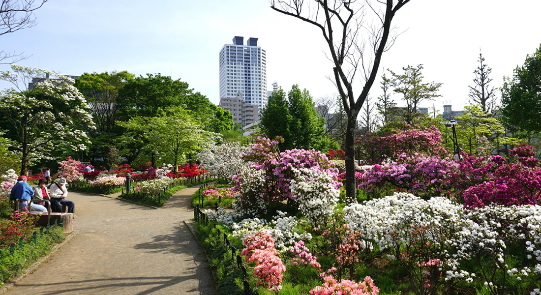 平成つつじ公園